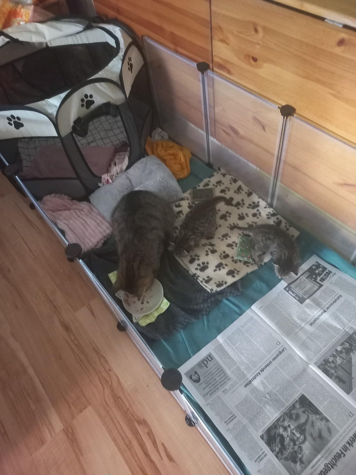 Flexibel