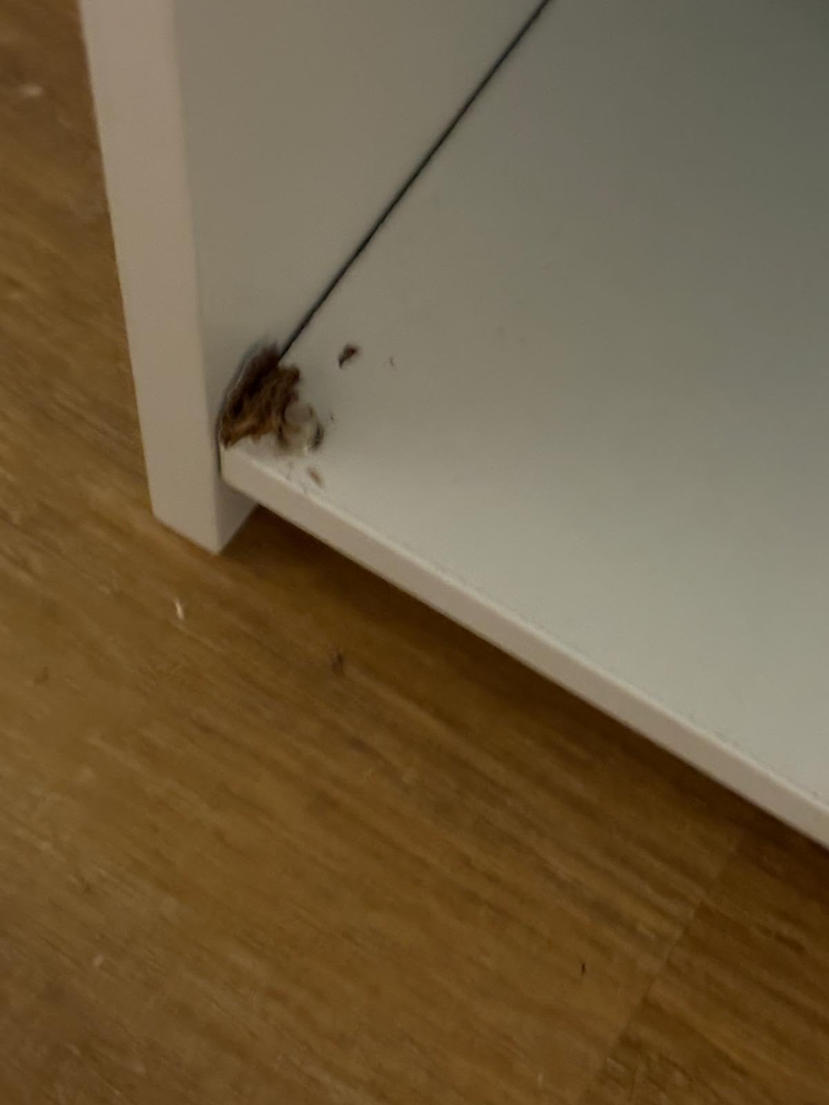 Tolle Stufenablage