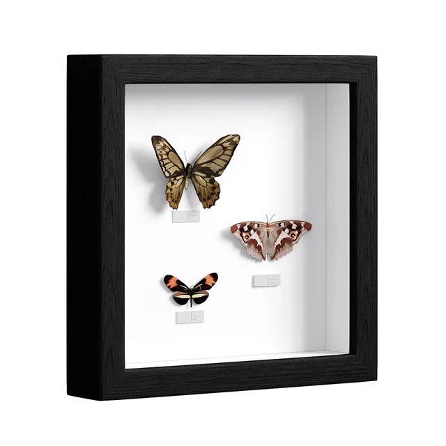eugad-bilderrahmen-20x20-schwarz-3d-3cm-tief image 1
