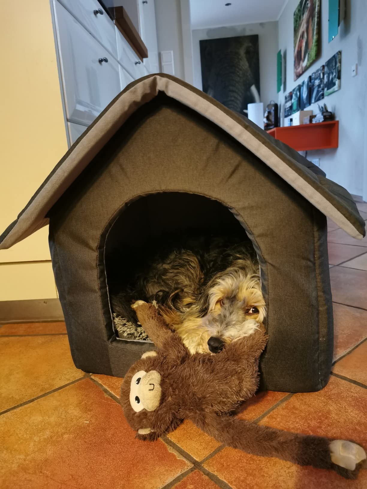 Dach praktisch